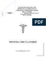 Sistema Circulatorio I