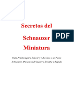 Secretos Del Schnauzer Miniatura