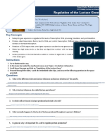 Regulation - Lactase - Gene - Click - Learn - Worksheet