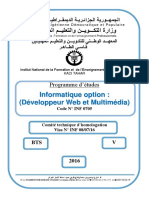 Pe Developeur Web PDF