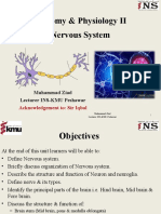 Unit 3 Nervous System Part 1