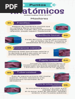 Puntos Anatomicos PT