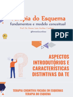 Aula - Introdução À Terapia Do Esquema