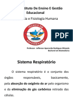 Sistema Respiratório