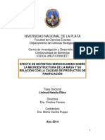 Documento Completo PDF