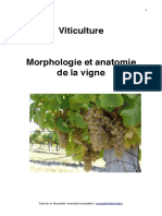 Viticulture PDF