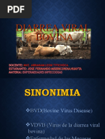 Diarrea Viral Bovina