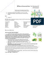 AP Biology Exploration Guide - Cell Metabolism #3