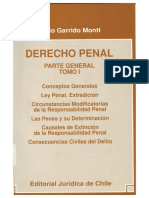 Garrido Montt (Extracto) Introducción PDF