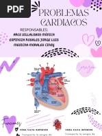 Problemas Cardiacos