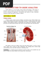 Introduction To Urine Analysis: General Veiw