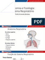 Anatomia e Fisiologia: Sistema Respiratório: Profa Fernanda Barboza