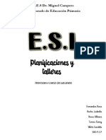 Planificacion Esi PDF