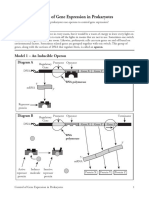 17 Control of Gene Expression in Prokaryotes-S PDF