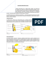 Anatomia Endoscópica Nasal Definitivo