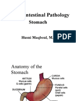 GI Stomach PDF