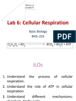 BIOL223-Lab 6