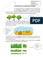 TP 6 3ero. B in LAS BASES NATURALES DE LA ARGENTINA LOS BIOMAS Trabajo Estudiantes Dispositivos Inclusión PDF