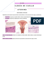 Patología (Displasia) de Cuello Uterino