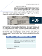 Indices Colposcopicos