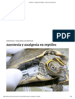 Anestesia Y Analgesia en Reptiles - Selecciones Veterinarias