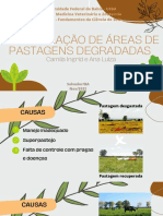 Apresentação Recuperação de Áreas de Pastagem Degradadas