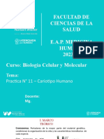 Practica #11 - Cariotipo Humano