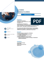 Cv-Tomas Flores Alvaro PDF