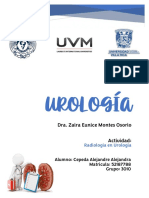 RADIOLOGÍA EN UROLOGÍA - Alejandra Cepeda Alejandre