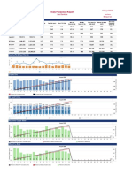 Daily Production Report 