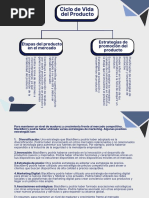 Life Cycle of A Product