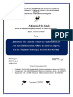 Mémoire Final PDF