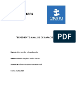 Expediente Análisis de Capacidades PDF