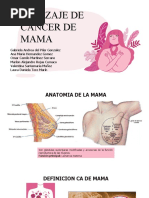 Tamizaje Cancer de Mama Final