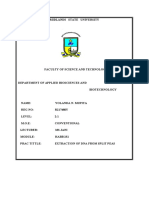 Dna Isoltion Writeup