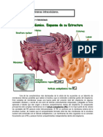 Organoides y Membranas Intracelulares