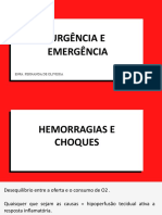 Aula 3 - Hemorragias e Choques