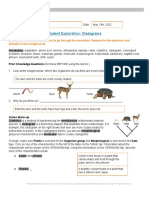 Cladograms SE