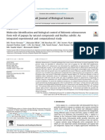 Molecular Identification and Biological Control of Ralstonia Solanacearum