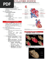 Lec 3 - Circulatory System