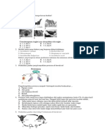 Latihan Soal Us Bio Oxy