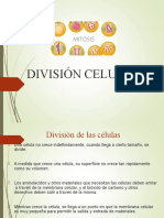 División Celular