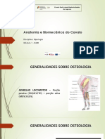 M1 - Anatomia e Biomecânica Do Cavalo