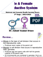 Male & Female Reproductive System: Dr. Zainab Neamat Al-Taee