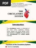 THE Circulatory System