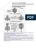 Desarrollo de La Sexual Id Ad Femenina