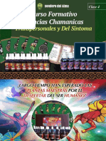 CHAMÁNICAS Clase 4