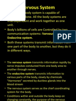 Nervous System