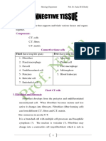 Connective Tissue