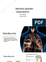 Anatomía Aparato Respiratorio